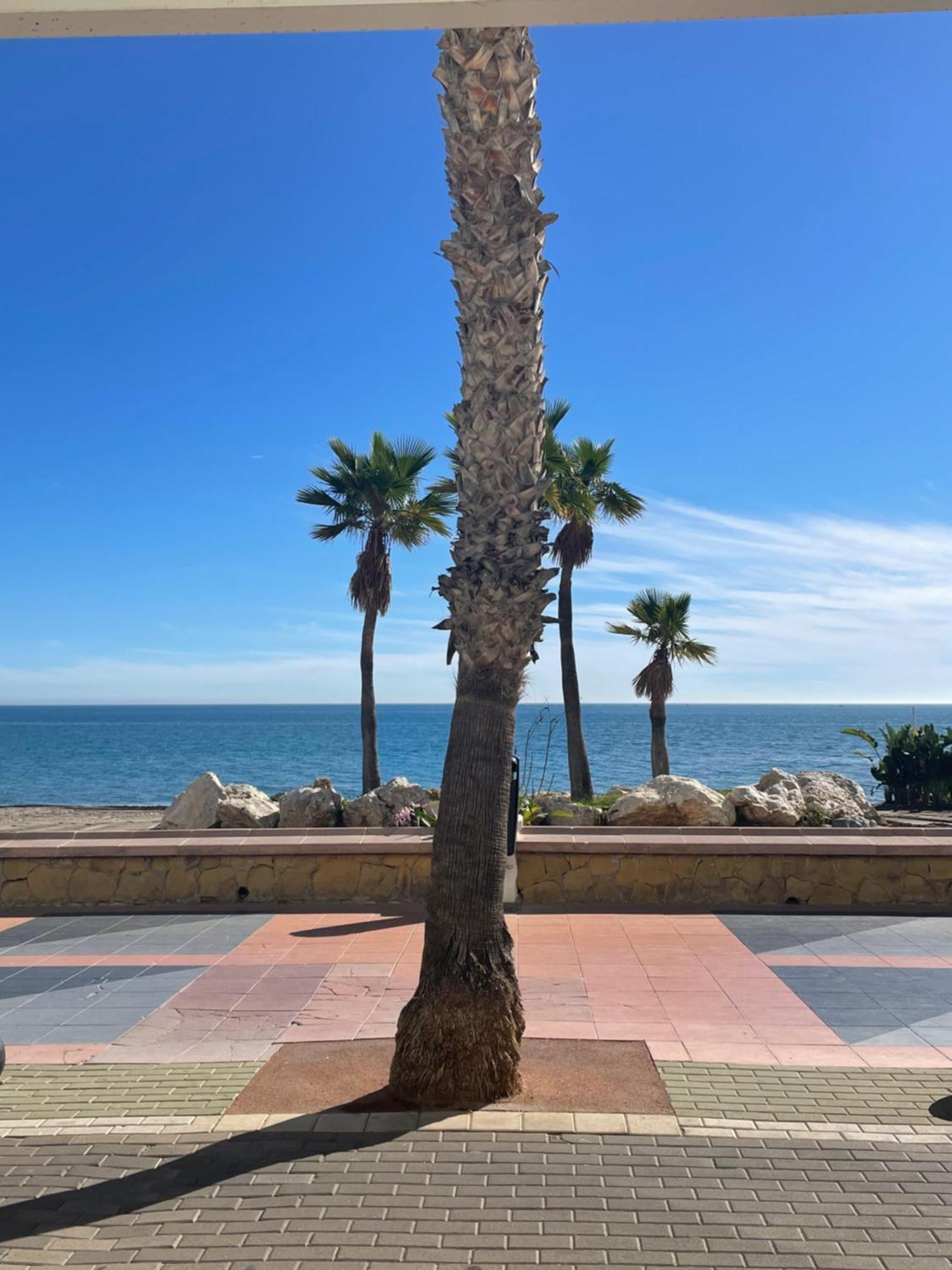 شقة Moderno Piso Mirando Al Mar توريمولينوس المظهر الخارجي الصورة